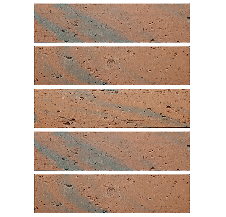 2022.5.16_10.33.19_5231